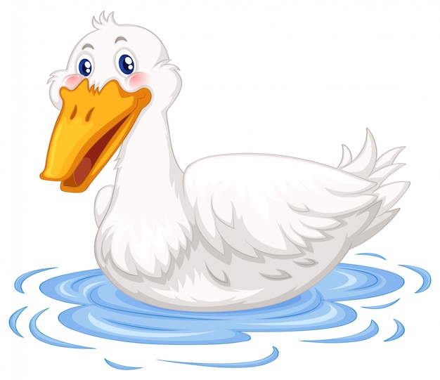 Free vector duck swimming in the pond