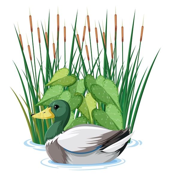 Free Vector duck swimming in the pond