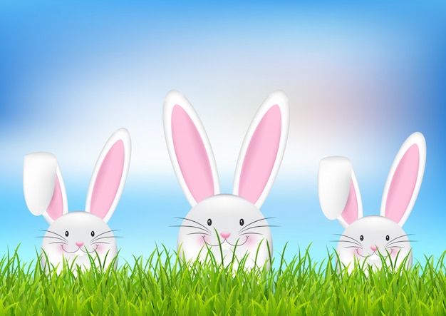 Free Vector easter bunny background 