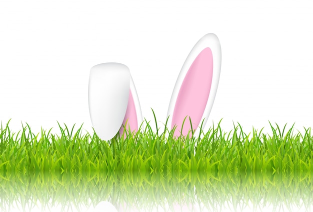 Easter bunny ears in grass