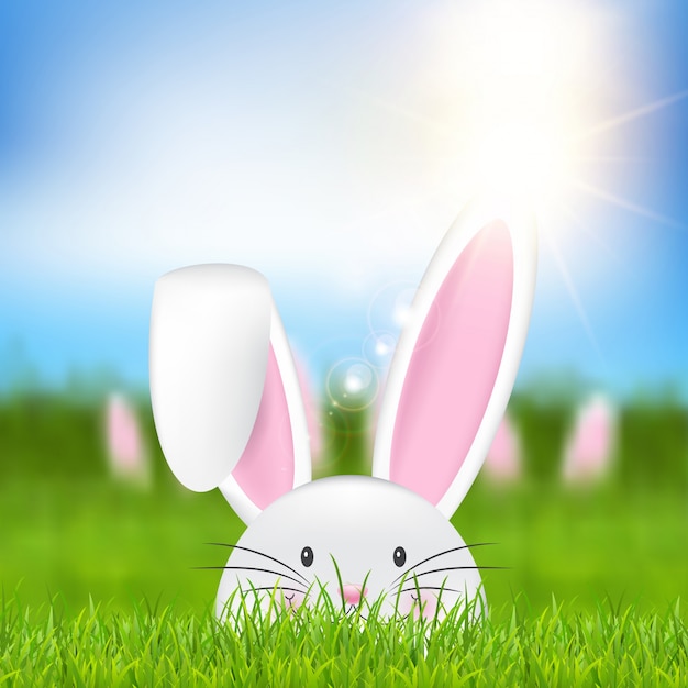 Easter bunny in grass 