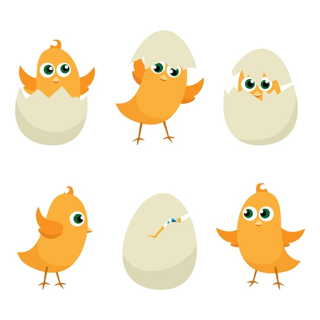 Free Vector easter eggs chicks set