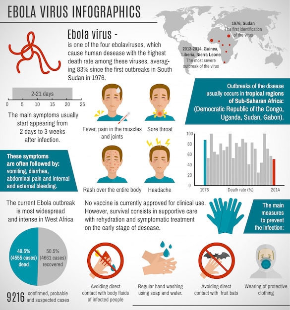 Free vector ebola virus infographic template