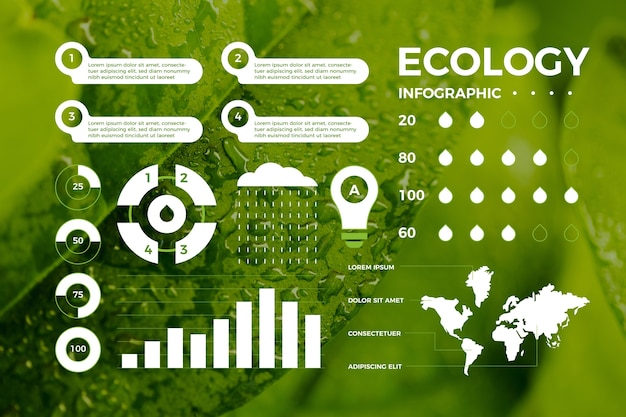 Free Vector ecology infographic concept