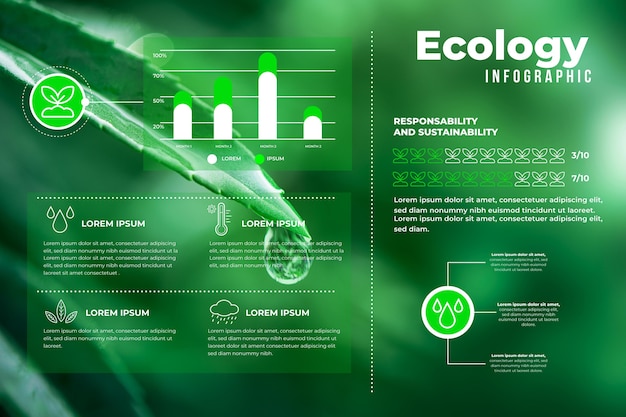 Free Vector ecology infographic process with photo