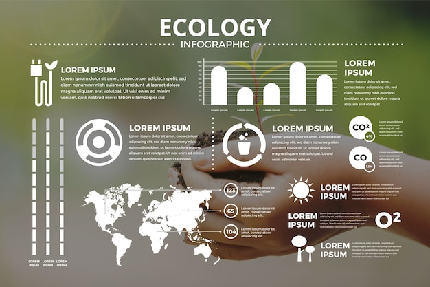 Ecology infographic with photo