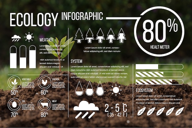 Free Vector ecology infographic with photo