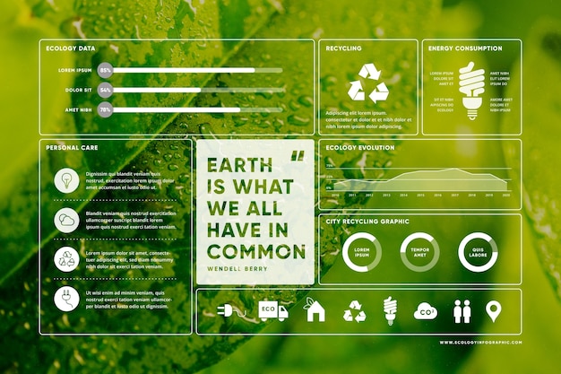 Ecology infographic with photo