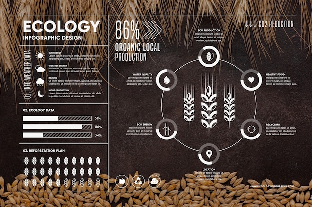 Free Vector ecology infographic with photo