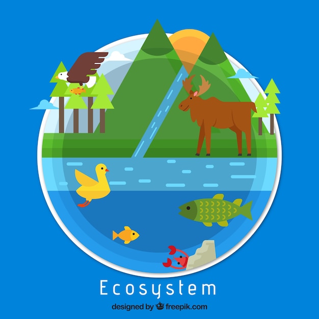 Free Vector ecosystem concept in flat style