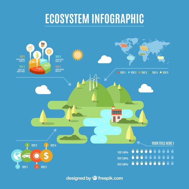 Ecosystem infographic design