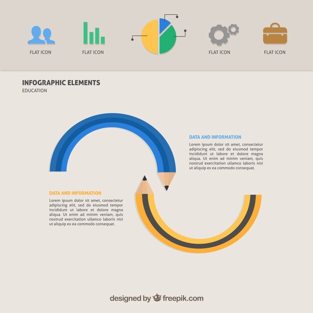 Education infographic template