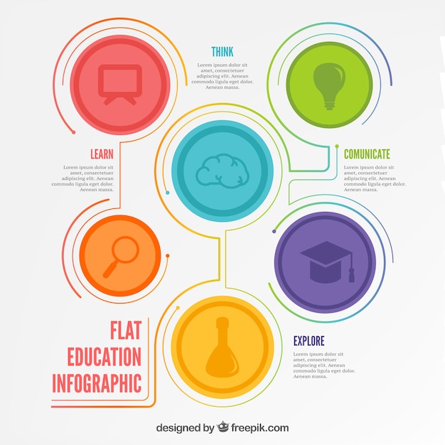 Education infography in flat design 