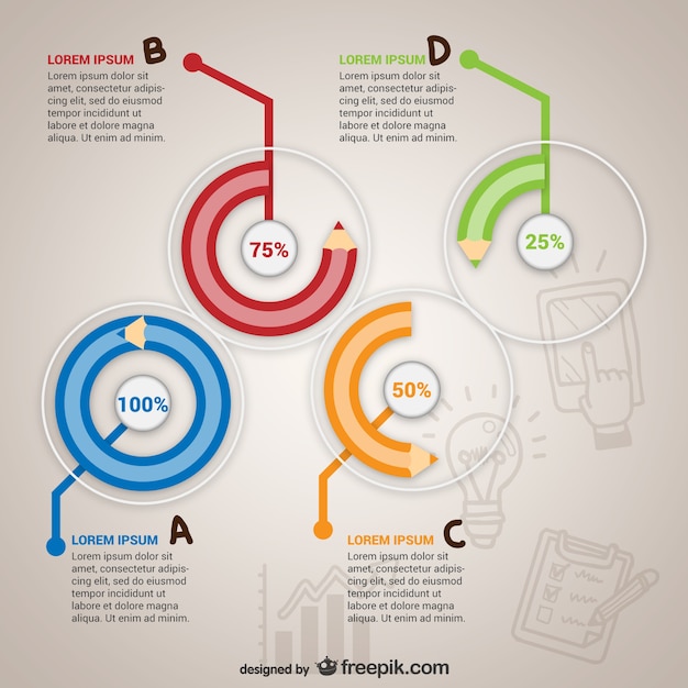 Education infography template