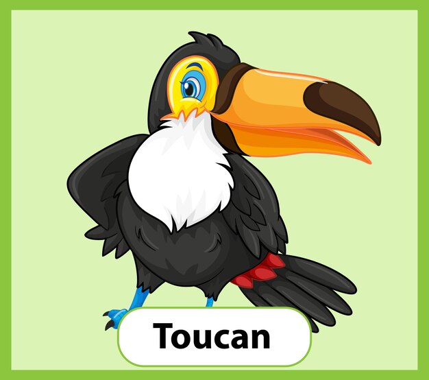 Free Vector educational english word card of toucan