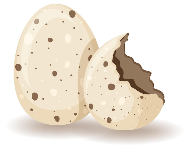 Free Vector egg shell cracking on white background