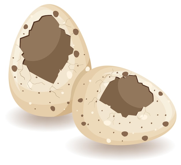 Free Vector egg shell cracking on white background