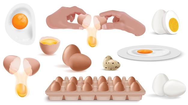 Free Vector eggs cook realistic icon set fried hard boiled raw eggs in hand and in shells packaged eggs vector illustration