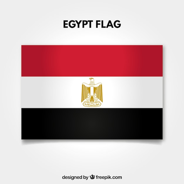 Free Vector egypt flag background