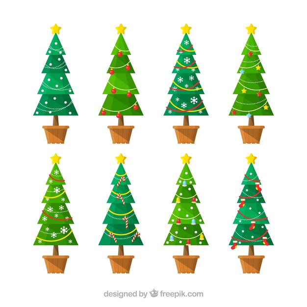 Eight tall christmas trees