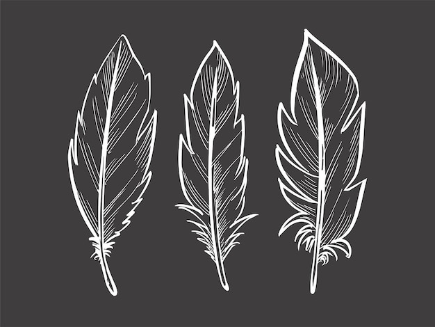 Free vector elegant beautiful line art feather design set