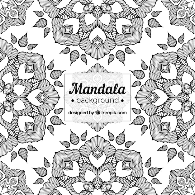 Free Vector elegant black and white mandala background