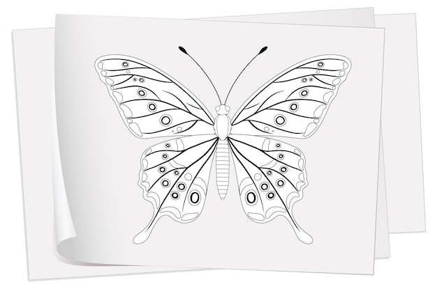 Free Vector elegant butterfly vector illustration