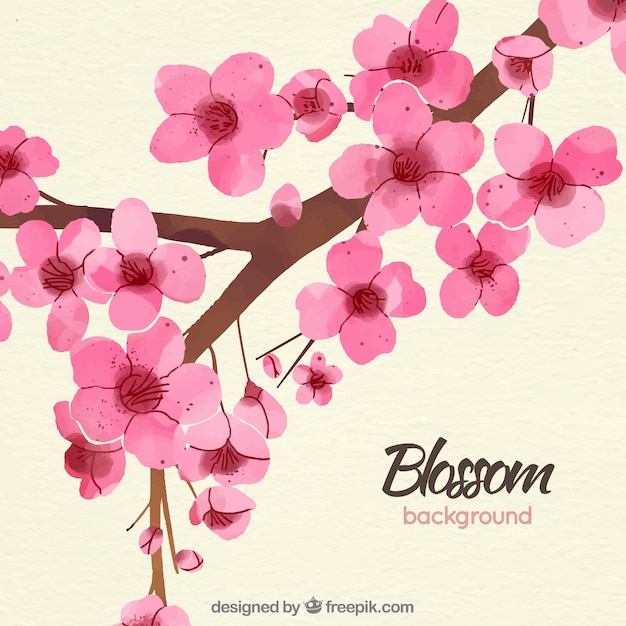 Free Vector elegant cherry blossom background