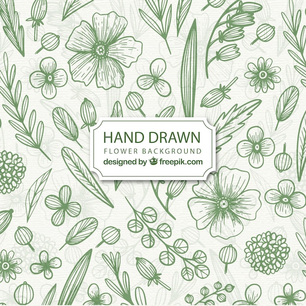 Elegant floral background with hand drawn style