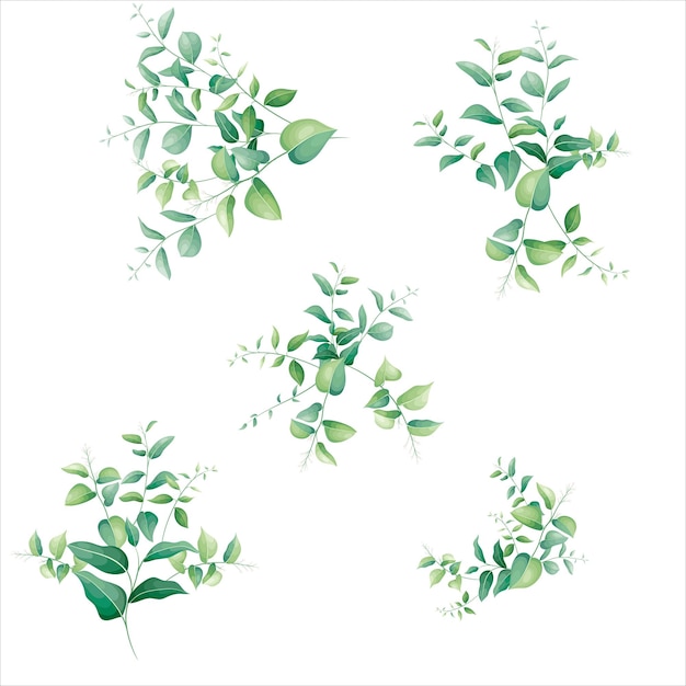 Free Vector elegant greenery leaves frame bouquet