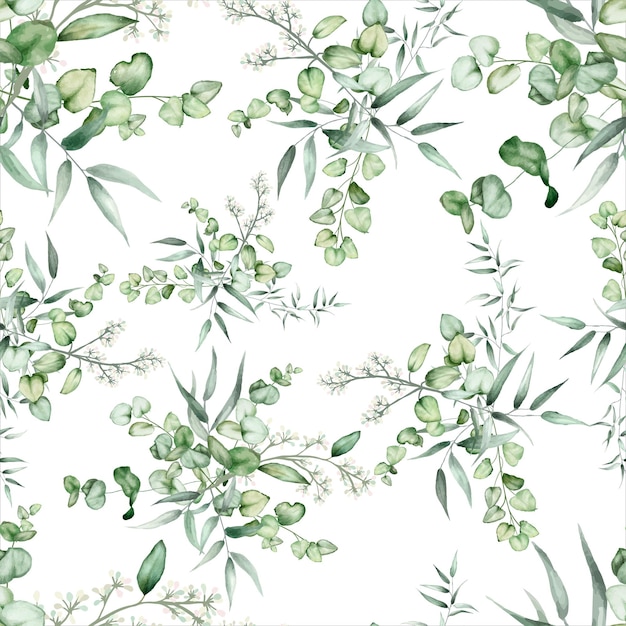 elegant hand drawing eucalyptus leaves pattern