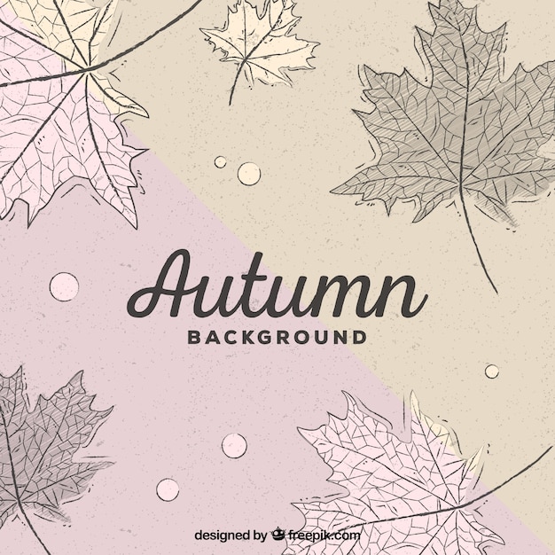 Free Vector elegant and hand drawn autumn leaves