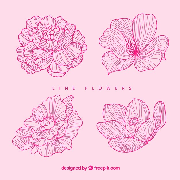 Elegant hand drawn floral element collection