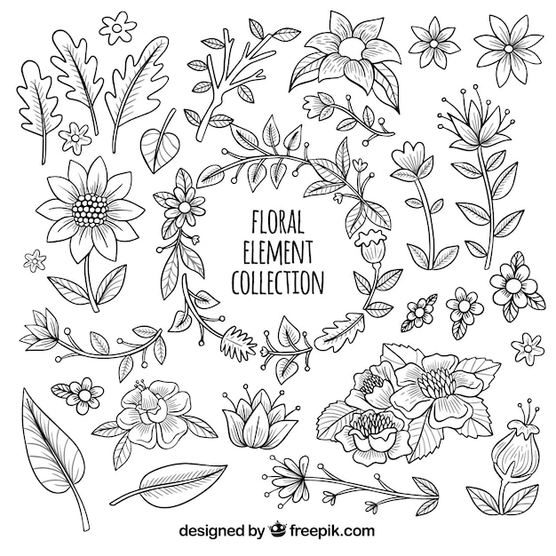 Elegant hand drawn floral element collection