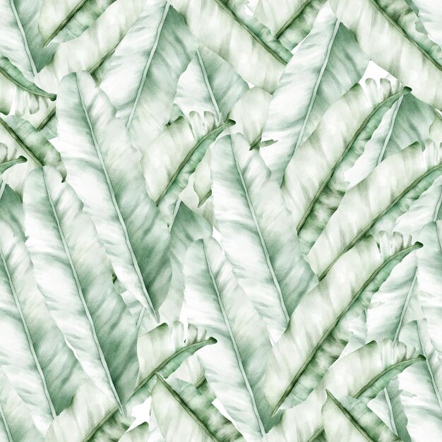 Free Vector elegant hand drawn luxury banana leaf seamless pattern