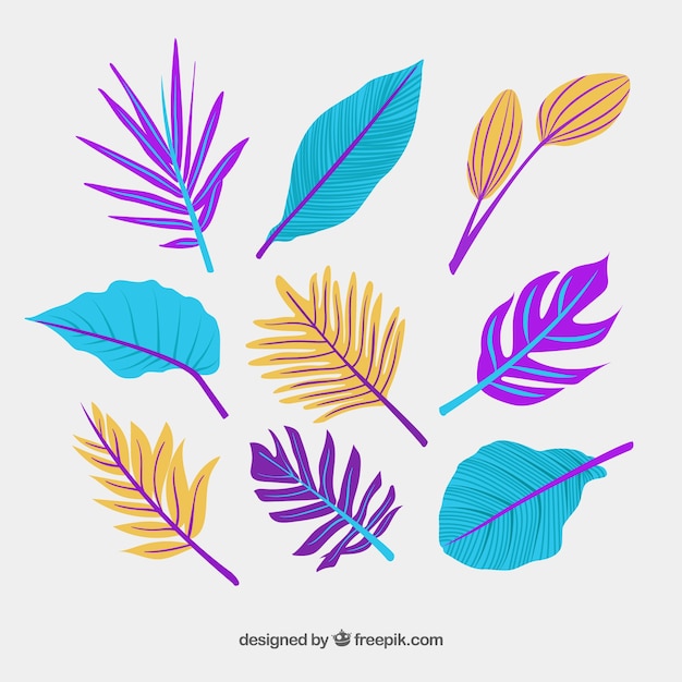 Free vector elegant hand drawn tropical leaf collection