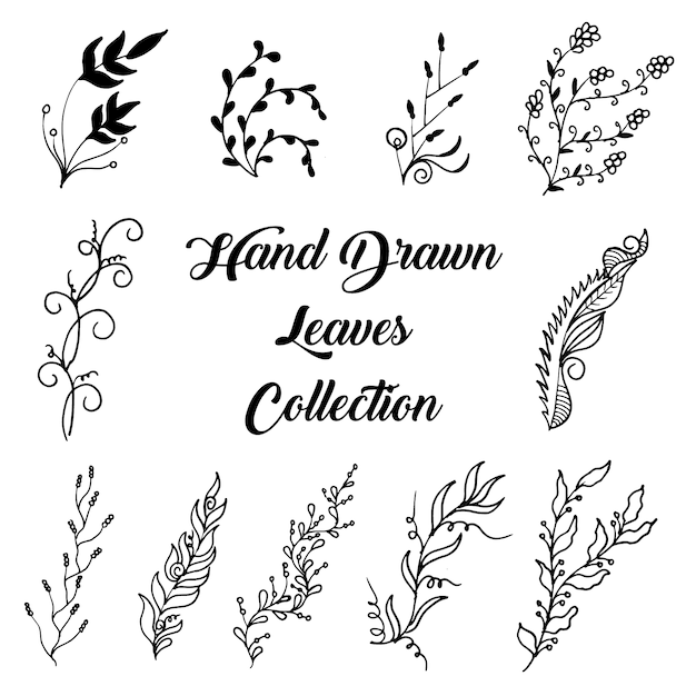 Elegant leaves collection