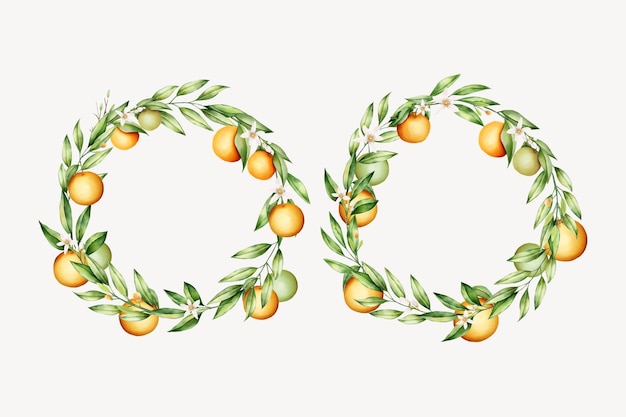 Free Vector elegant orange fruit wreath and background