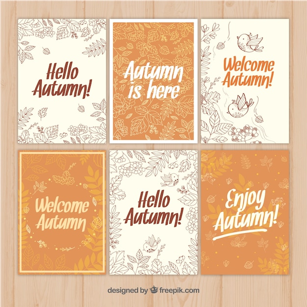 Elegant pack of hand drawn autumnal cards