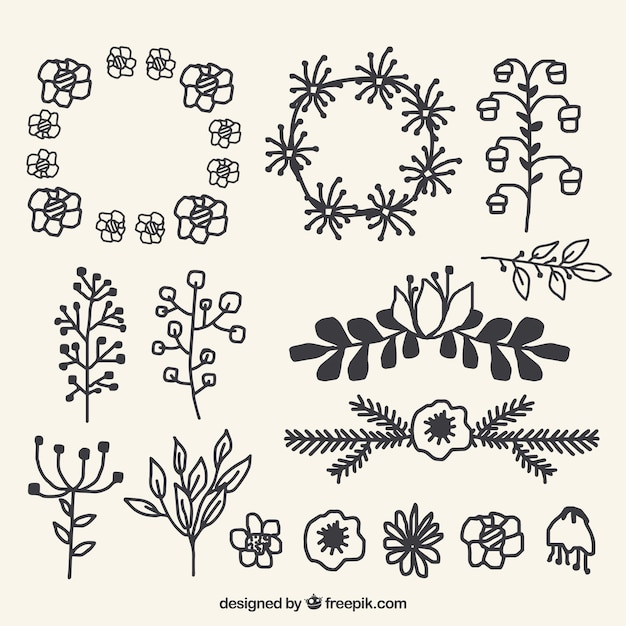 Elegant pack of hand drawn floral elements