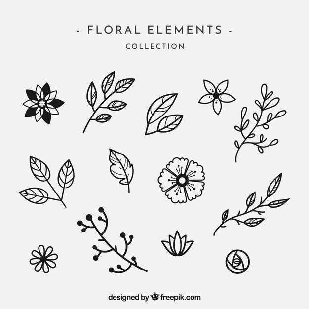 Elegant pack of hand drawn floral elements