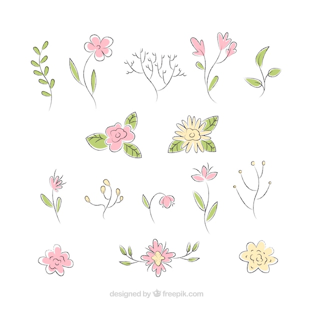 Elegant pack of hand drawn floral elements