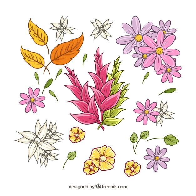 Elegant pack of hand drawn floral elements