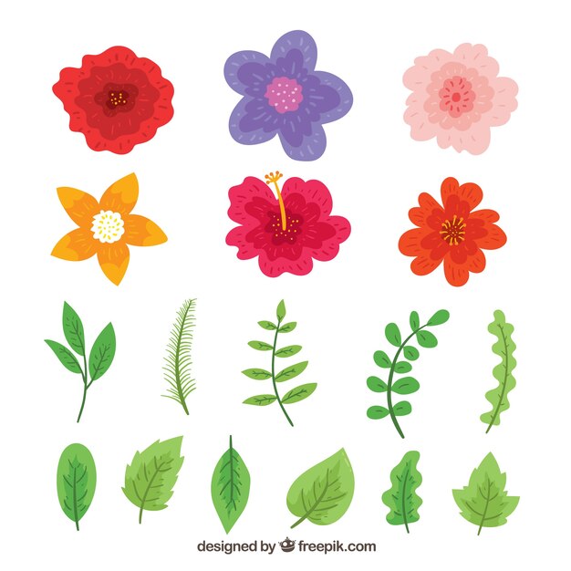 Elegant pack of hand drawn floral elements