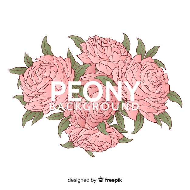 Free Vector elegant peony flower background