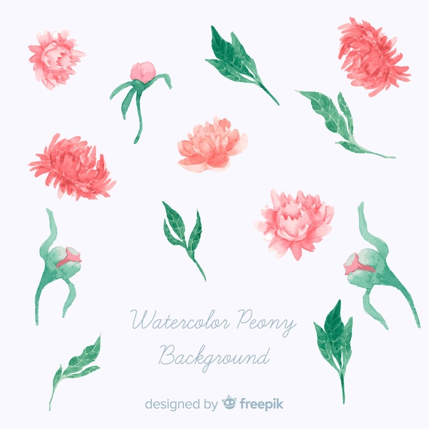 Free Vector elegant peony flowers background in watercolor style