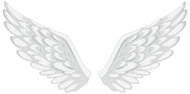 Elegant White Angel Wings Vector Illustration