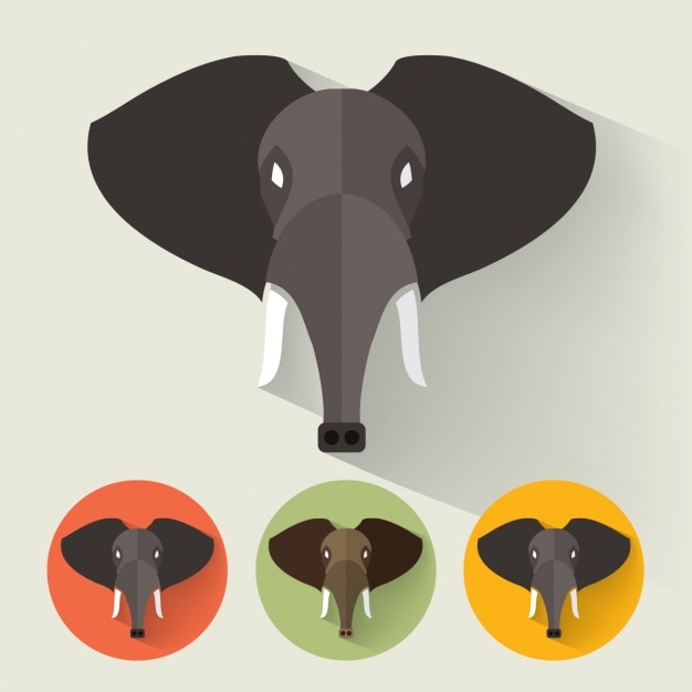 Free Vector elephant designs collection