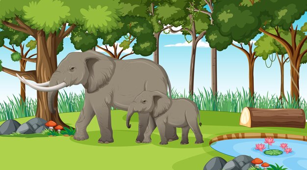 Elephant in forest or rainforest scene with many trees