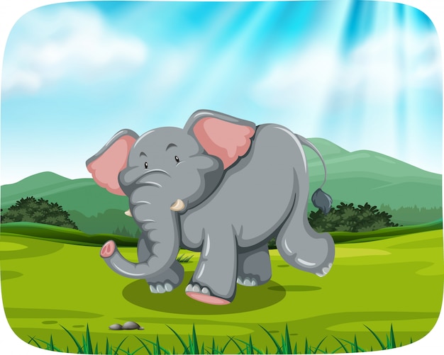 Elephant in nature scene